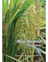  Rice Disease Compendium